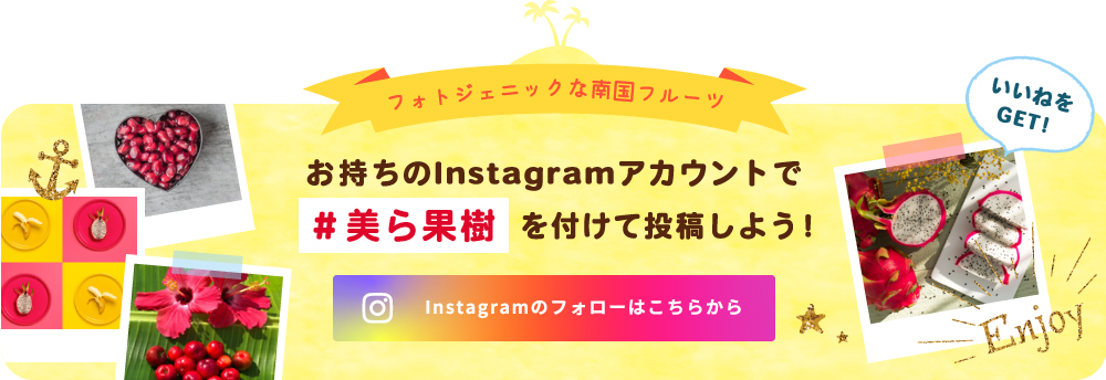 Instagramのフォローはこちらから